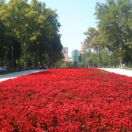 Tash 3* Belgrado