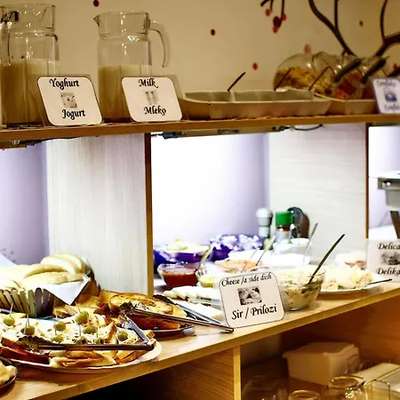 住宿加早餐酒店 Tash