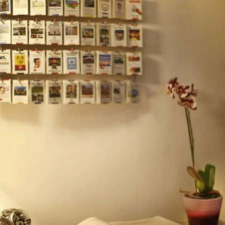 住宿加早餐酒店 Tash