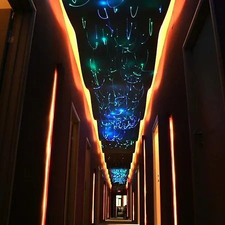 Tash 贝尔格莱德