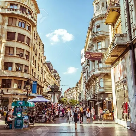 Tash 贝尔格莱德